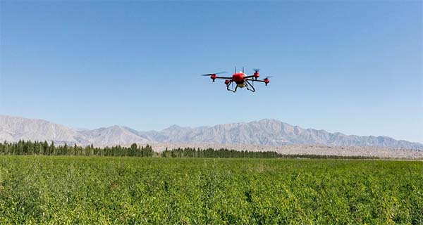 青岛无人机植保课程培训.jpg