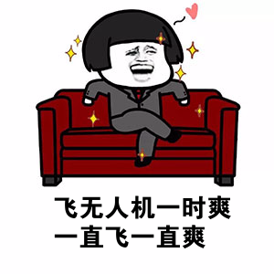 无人机驾驶员执照