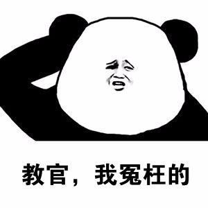 无人机驾驶员执照