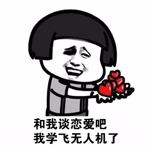 无人机驾驶员执照